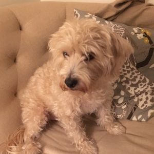 Meet your Posher, Christine